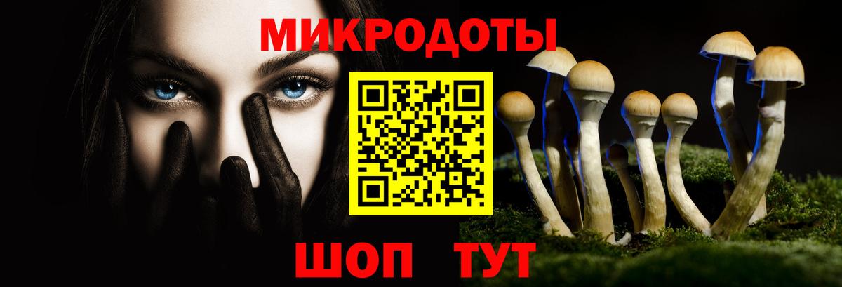 Строитель  Галлюциногенные грибы MAGIC MUSHROOMS  Вход с VPN 